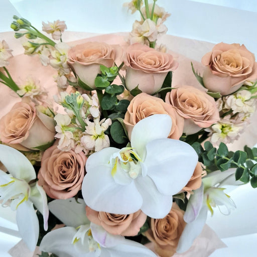 Charming hand bouquet of ravishing cappuccino roses, lovely phalaenopsis orchid , mathiola and foliage