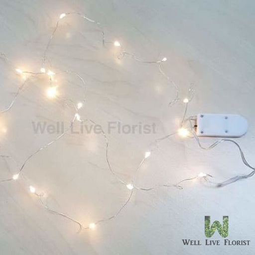 LED Light