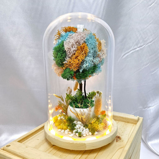 Moss Garden - Flower In Dome - Flower In Dome - Preserved Flower - Well Live Florist