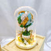 Moss Garden - Flower In Dome - Flower In Dome - Preserved Flower - Well Live Florist