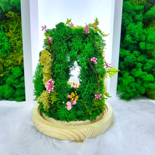 Mossy Magic - Flower In Dome - Flower In Dome - Moss - Preserved Flower - Well Live Florist