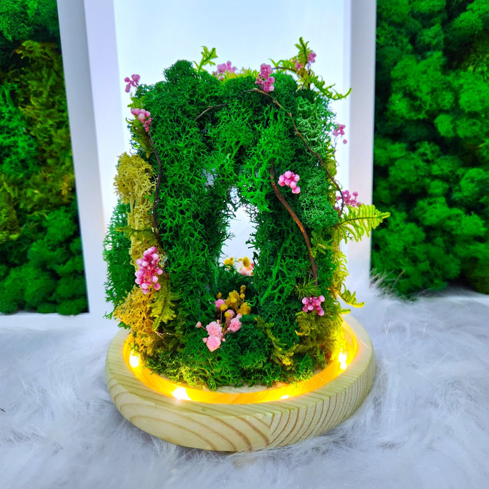 Mossy Magic - Flower In Dome - Flower In Dome - Moss - Preserved Flower - Well Live Florist