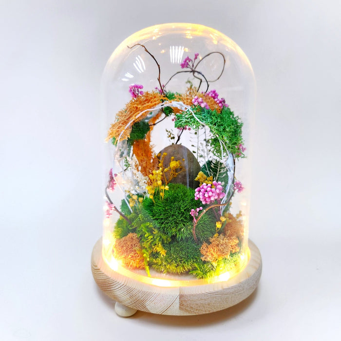 Nature's Oasis - Flower In Dome - Flower In Dome - Moss - Preserved Flower - Well Live Florist