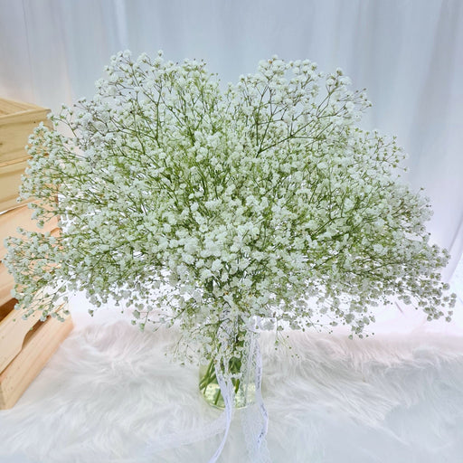 Flower in vase, fresh hydrangea
