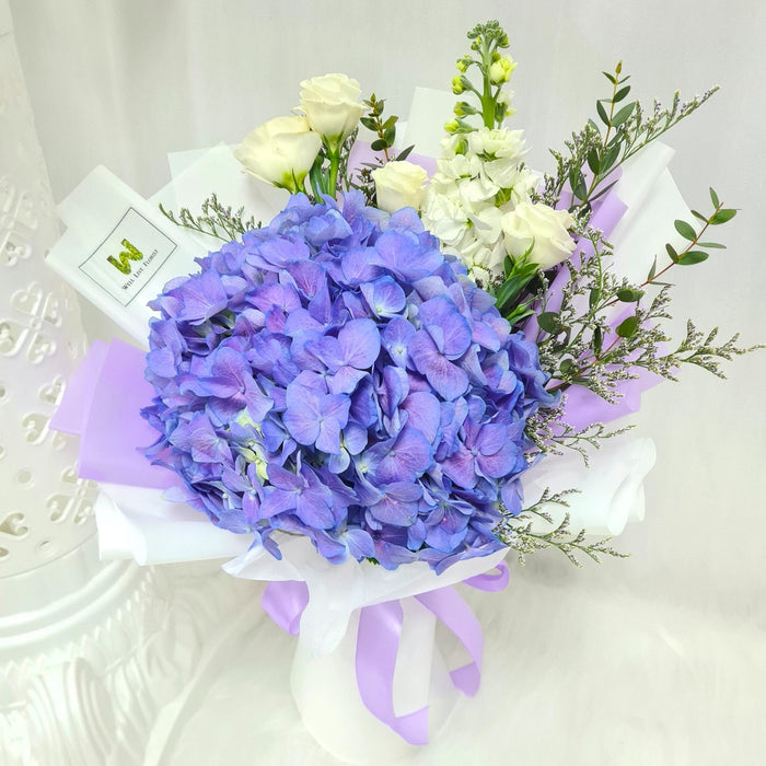 Hydrangea bouquet, purple hydrangea, hand bouquet, flower bouquet