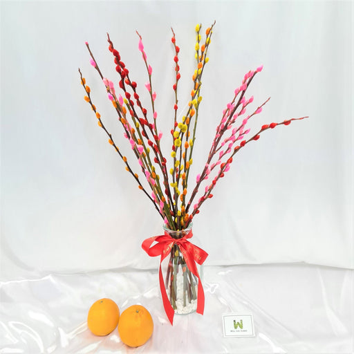 Si Ji Ping An - 四季平安 - Flower In Vase of Multi Color Fresh Cut Pussy Willow - Chinese New Year Flower - Free Same Day Delivery - Florist Singapore - Well Live Florist