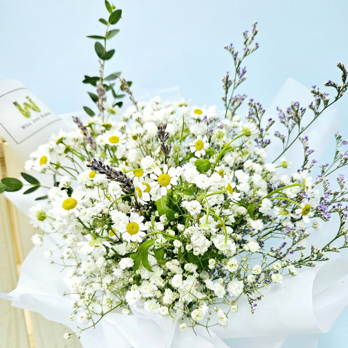 Soft Serenade - Baby's Breath Hand Bouquet - Flower Bouquet - Daisy - Flower Delivery Singapore - Well Live Florist