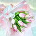 Star Shine - Tulip Hand Bouquet - Flower Bouquet - Flower Delivery Singapore - Well Live Florist