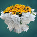 Sunflower, sunflower bouquet