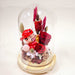 Wishing You Prosperity - Flower In Dome - Flower In Dome - Preserved Flower - Well Live Florist